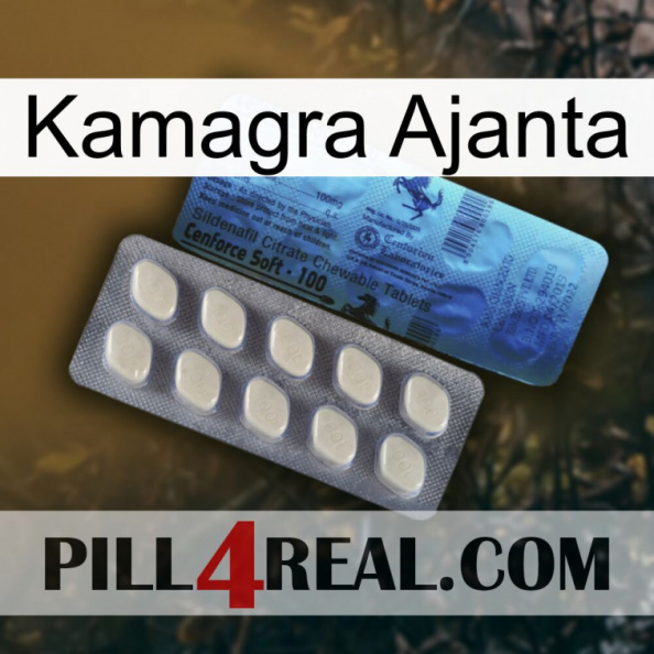 Kamagra Ajanta 34.jpg